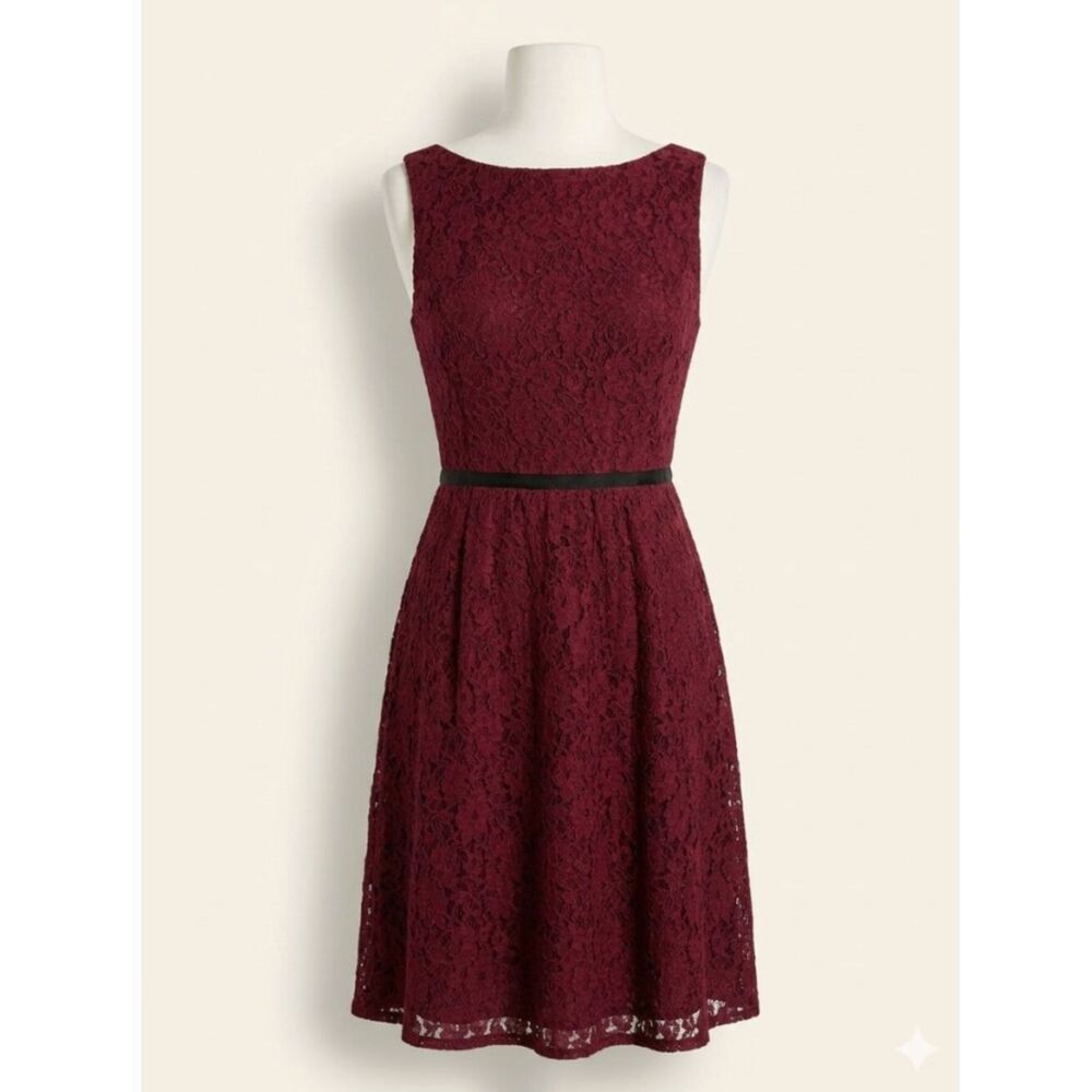 Loft Fully Lined Lace Dress Size 10P Wine Color EUC